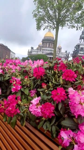 Санкт Петербург смотреть онлайн