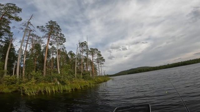 Сколько же щук в этом озере смотреть онлайн