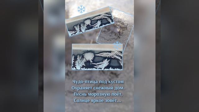 Морозные узоры