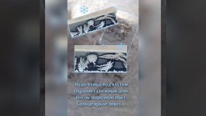 Морозные узоры