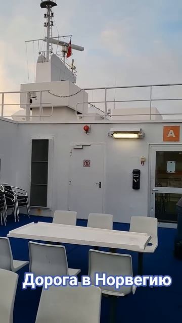 Едем на рыбалку в Норвегию сезон-2025 #рыбалка #fishing смотреть онлайн