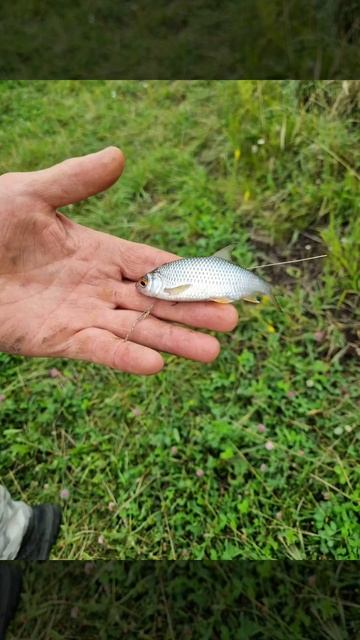 рыбалка с ночевкой смотреть онлайн