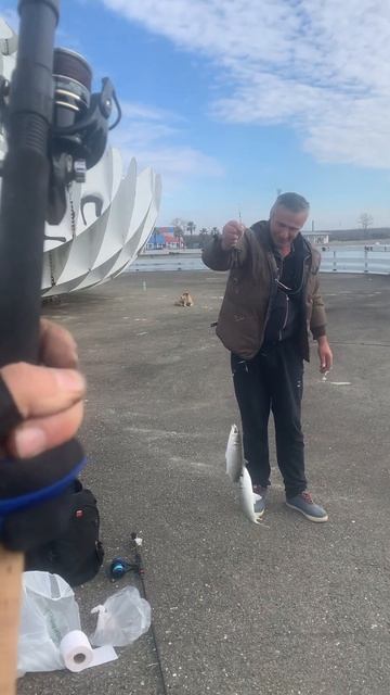 По две кефали , на карповую снасть. Чёрное море Грузия смотреть онлайн