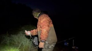 Фидер. Вычегда. 10 августа 2024