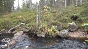 Охота и рыбалка в Карелии с детьми