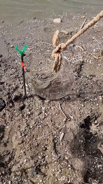 продолжаем обустраиватся и попутно ловить на обед рыб смотреть онлайн