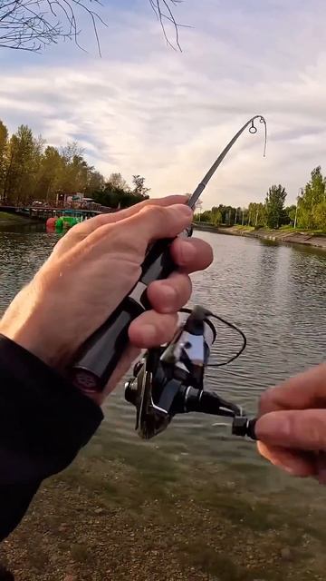 Мормышинг на Gamakatsu LUXXE  Ten S48AL-solid. #fishing #gamakatsu #ten