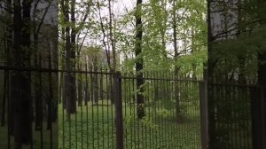 Дача Толбухина. Улица Толбухина. Дубрава. Парк Дубки