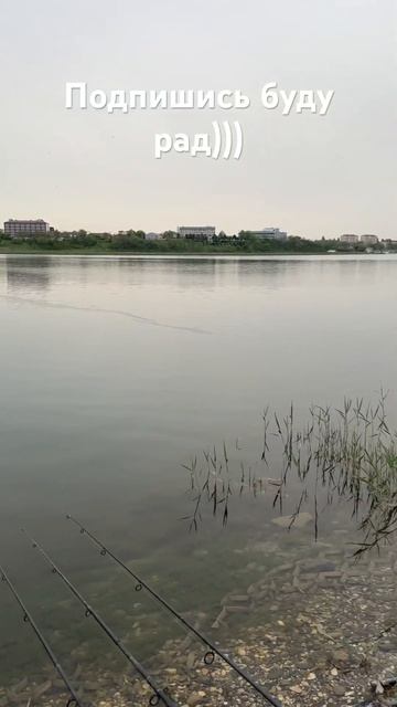 Сегодня надеюсь поймать монстра карпа)))#рыбалка #карп? смотреть онлайн
