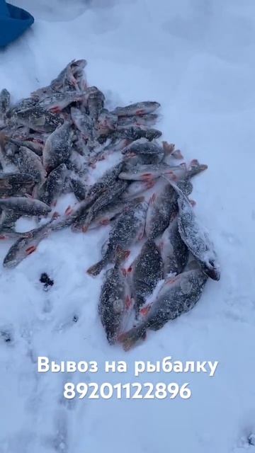 Рыбалка на Рыбинском водохранилище. Зима 20232024