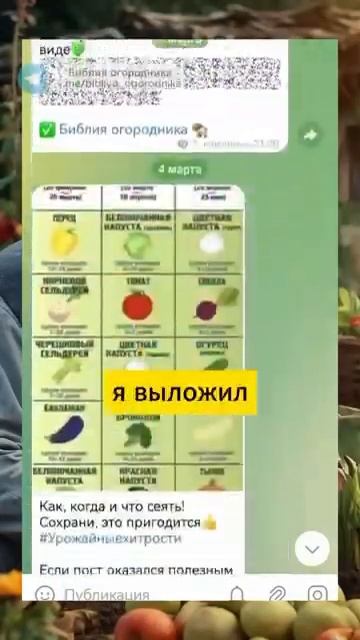 Яичная скорлупа МОЩНАЯ ПОДКОРМКА для растений #урожа? смотреть онлайн