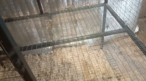 Клетки для кроликов