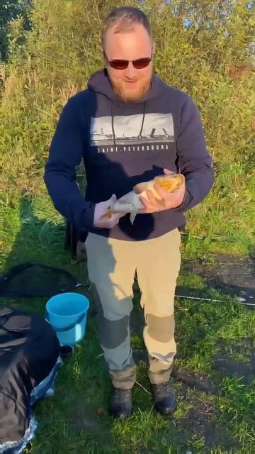 Первый Карп и первый улов! Приятно с таких начинать))) смотреть онлайн