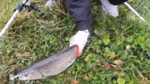 Рыбалка на искусственные приманки