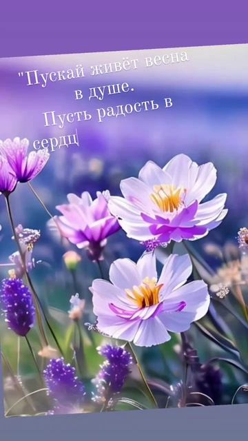 #наблюдаюсебя  …Верю я, что кроме суетыНа земле есть м?