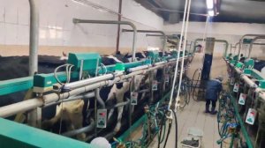 Экоферма «Туймаада». Видеосюжет 3