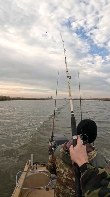 Ловля сазанов и карпов в Астрахани. Рыбалка в Астрахан смотреть онлайн