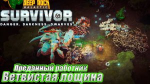ПРЕДАННЫЙ РАБОТНИК. ВЕТВИСТАЯ ЛОЩИНА НА 5 УРОВНЕ СЛОЖНОСТИ Deep Rock Galactic Survivor