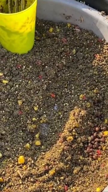 Фидерная рыбалка. Рыбалка на реке Березина смотреть онлайн