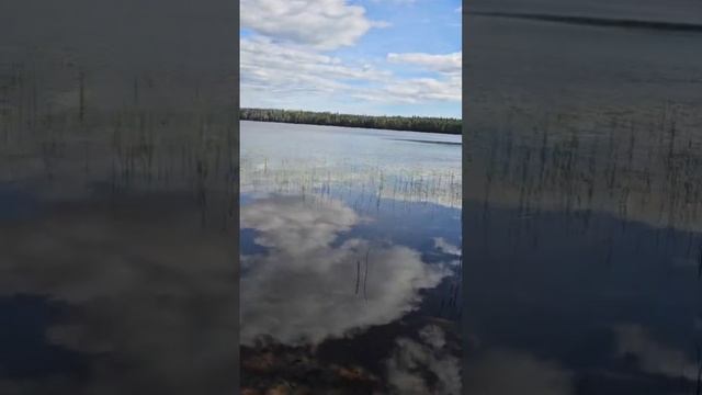 Озера под Санкт- Петербургом и первые грибы. смотреть онлайн