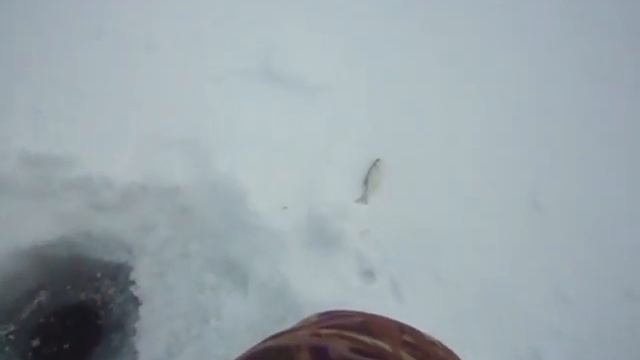 Глухозимье Ловля плотвы на мормышку Затон Шыган Павло смотреть онлайн