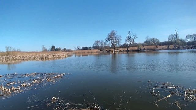 Ловля щуки после нереста весной, ловля щуки на блесну смотреть онлайн