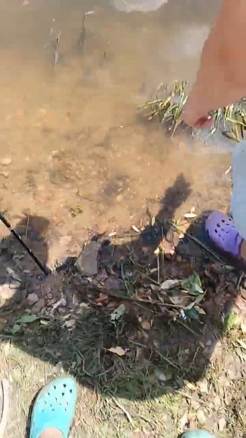 рыбалка на оке edit рыбалка carpfishing fishing карп carp щука