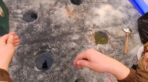 зимняя рыбалка / братское море / усть-алтан / закрытие с