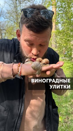 Виноградные улитки #ландшафт #ландшафтныйдизайн #загороднаяжизнь #сад #благоустройство #озеленение