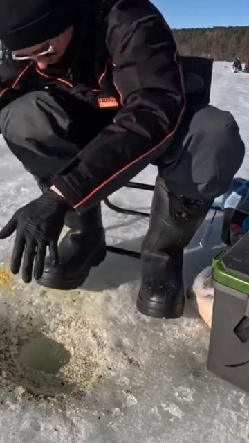 Ностальгия по зимней рыбалке #фишермания #рыбалка #youtub смотреть онлайн