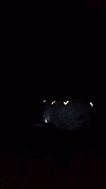 Ночной город рыбака #братск #сибирь #отдых #рыбалка смотреть онлайн