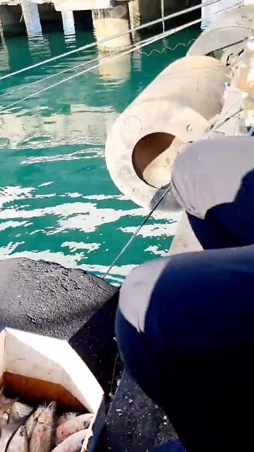 Абхазия-Рыбалка 🐟#рыбалка #абхазия #море #fishing смотреть онлайн