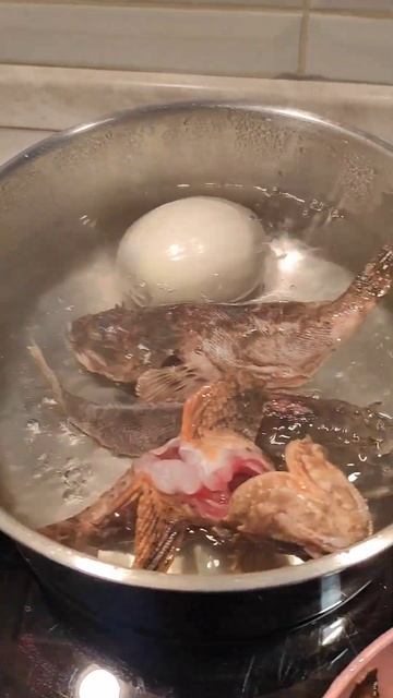 Впервые готовлю Это 👀. Мой улов, морская рыбалка в мар смотреть онлайн