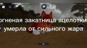 причины смерти котов из истории ос