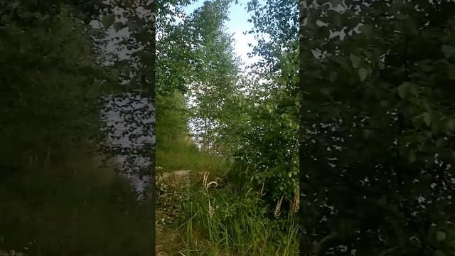 озеро Поганур Йошкар-Ола. 8.7.2021 смотреть онлайн