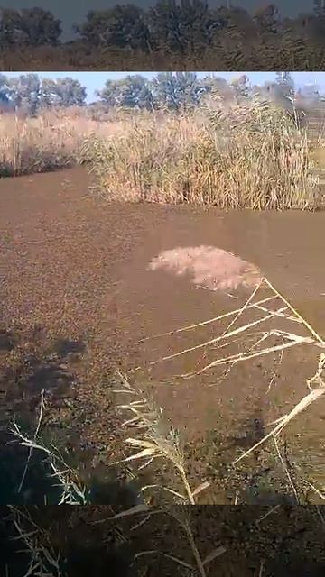 Муж привез на рыбалку . смотреть онлайн