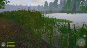Лучшая точка на угря на Остроге Russian Fishing 4 #русскаярыба