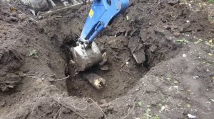 Нашли старый погреб. Жизнь на Алтае после переезда.