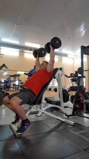 день 3. жим гантелей сидя. 30 кг смотреть онлайн