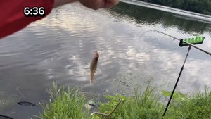 Рыбалка в Бронницах! Ловим лещей🎣