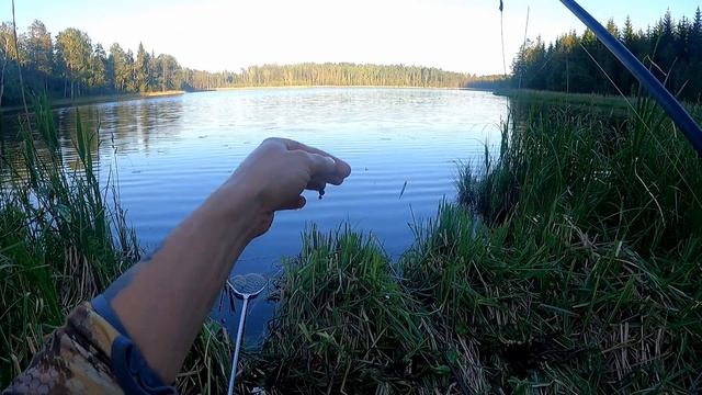 Pыбалка на линя, тихое место! смотреть онлайн