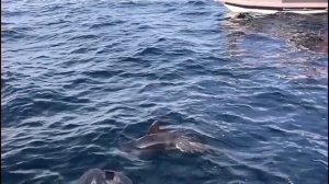 Рыбалка в Териберке 2023г.