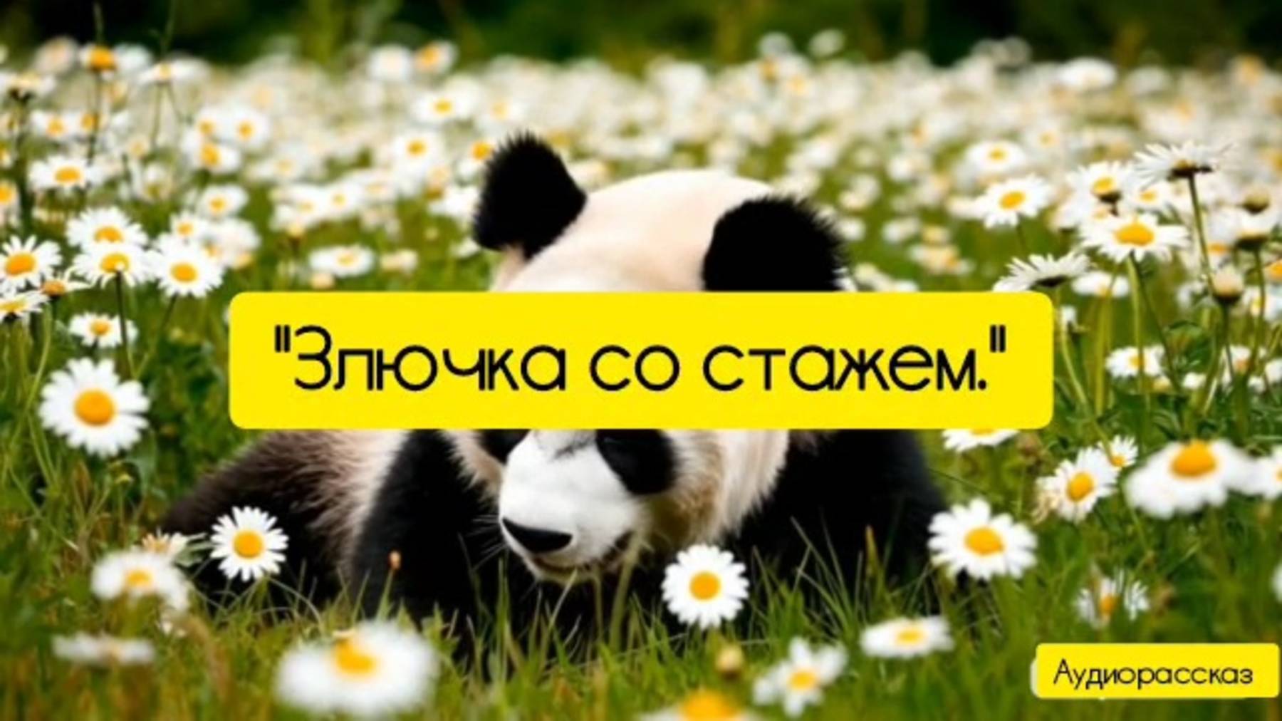 Злючка со стажем. Аудиорассказ.