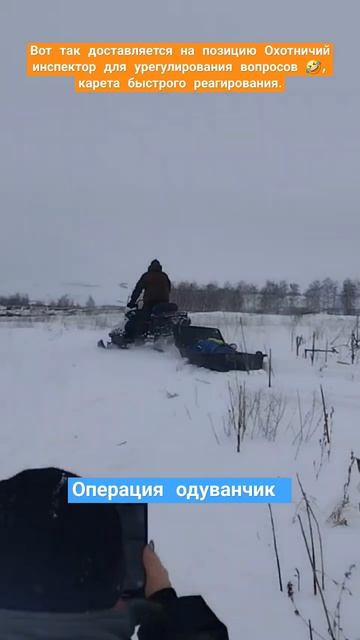 #животныймир #зима #покатушки #охота #рыбалка смотреть онлайн