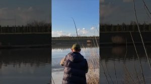 🎣 Астана рыбалка 2025 — судак прямо с набережной! 💥 По?