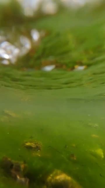 подводная съёмка #абакан #хакасия #красота #микроджиг # смотреть онлайн