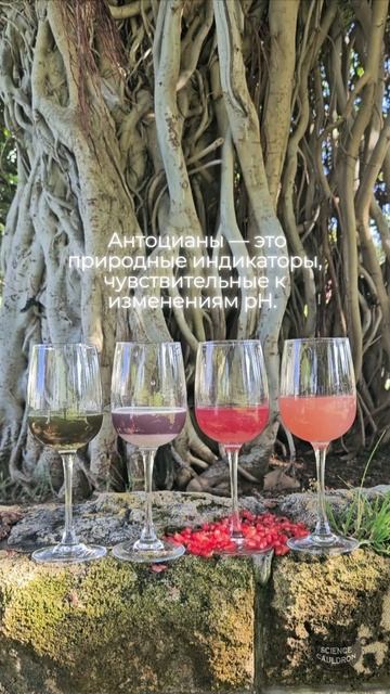 Магия цвета. Эксперимент с гранатовым соком #изменени? смотреть онлайн