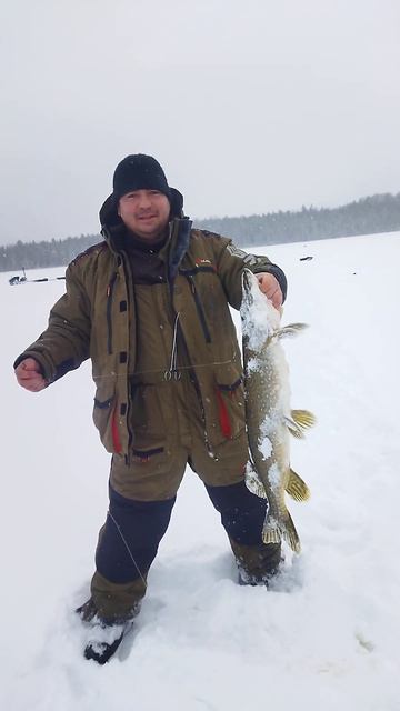 первый лед, декабрь. щука 4 кг смотреть онлайн