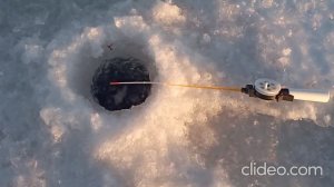 Рыбалка на Шарташе. 25 ноября 2024 г.