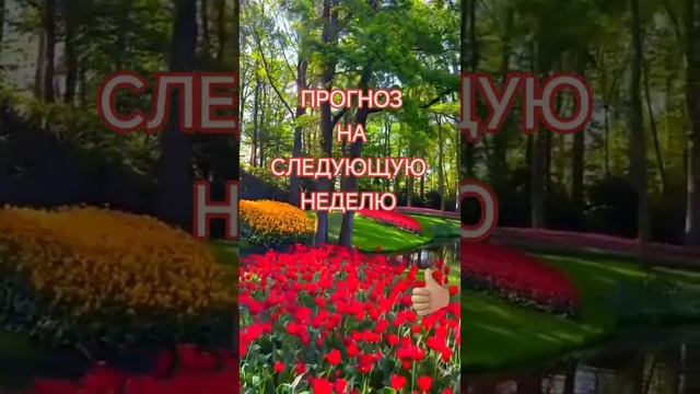 ❗ ШОК ❗ПРОГНОЗ НА СЛЕДУЮЩУЮ НЕДЕЛЮ Таро гадание онла? смотреть онлайн